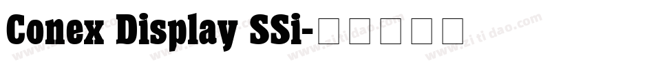 Conex Display SSi字体转换